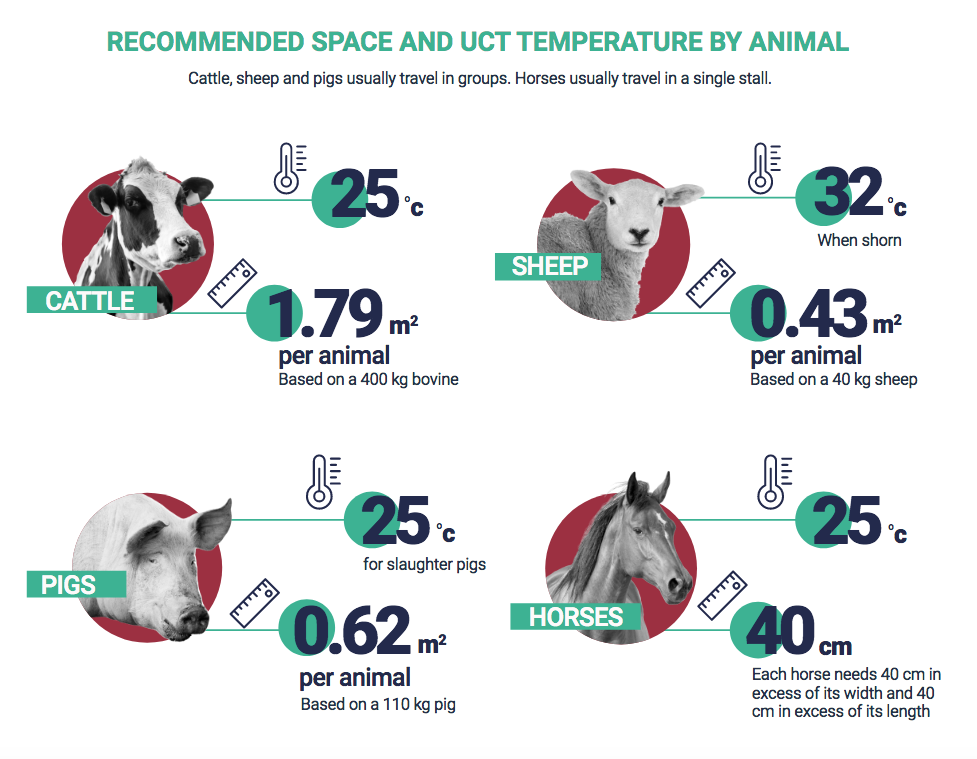 Infografica Efsa su spazi e temperature raccomandate nel trasporto di bovini, ovini, suini ed equidi