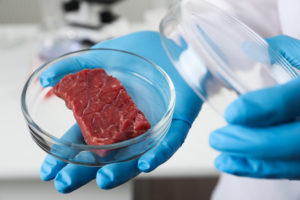Scienziato che tiene una capsula di Petri con carne coltivata in laboratorio, carne sintetica