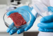 La carne coltivata è sicura? Risponde un video di Fao e Aleph Farms