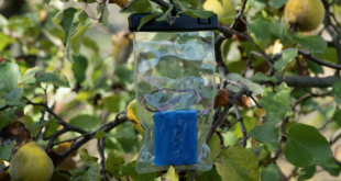 rfcx edge audiomoth wwf italia