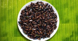 grilli fritti su un piatto appoggiato su una foglia di banano