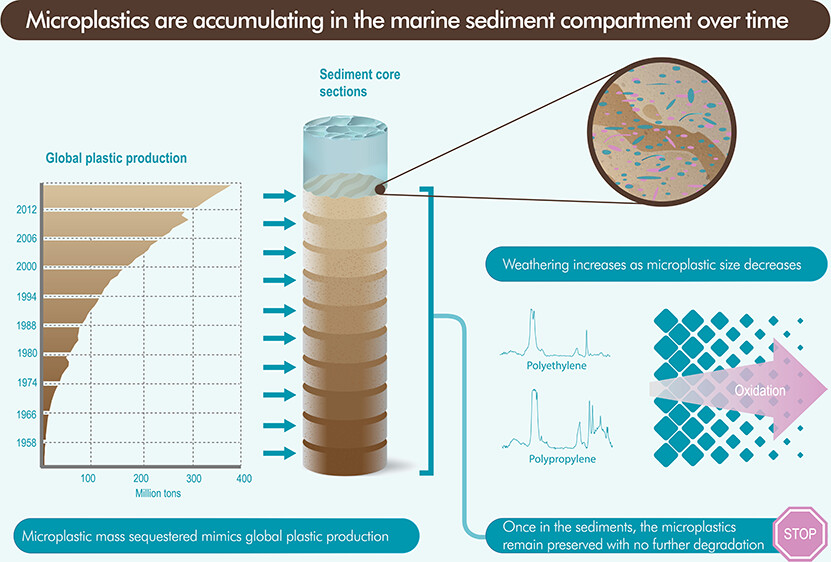 microplastiche nei sedimenti marini