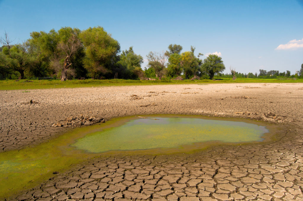specchio d'acqua o fiume asciutto con terreno secco per la siccità