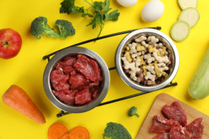 Ciotola di crocchette per cani a forma di osso e ciotola di bocconcini di carne cruda circondati da frutta, verdura e carne; concept: pet food