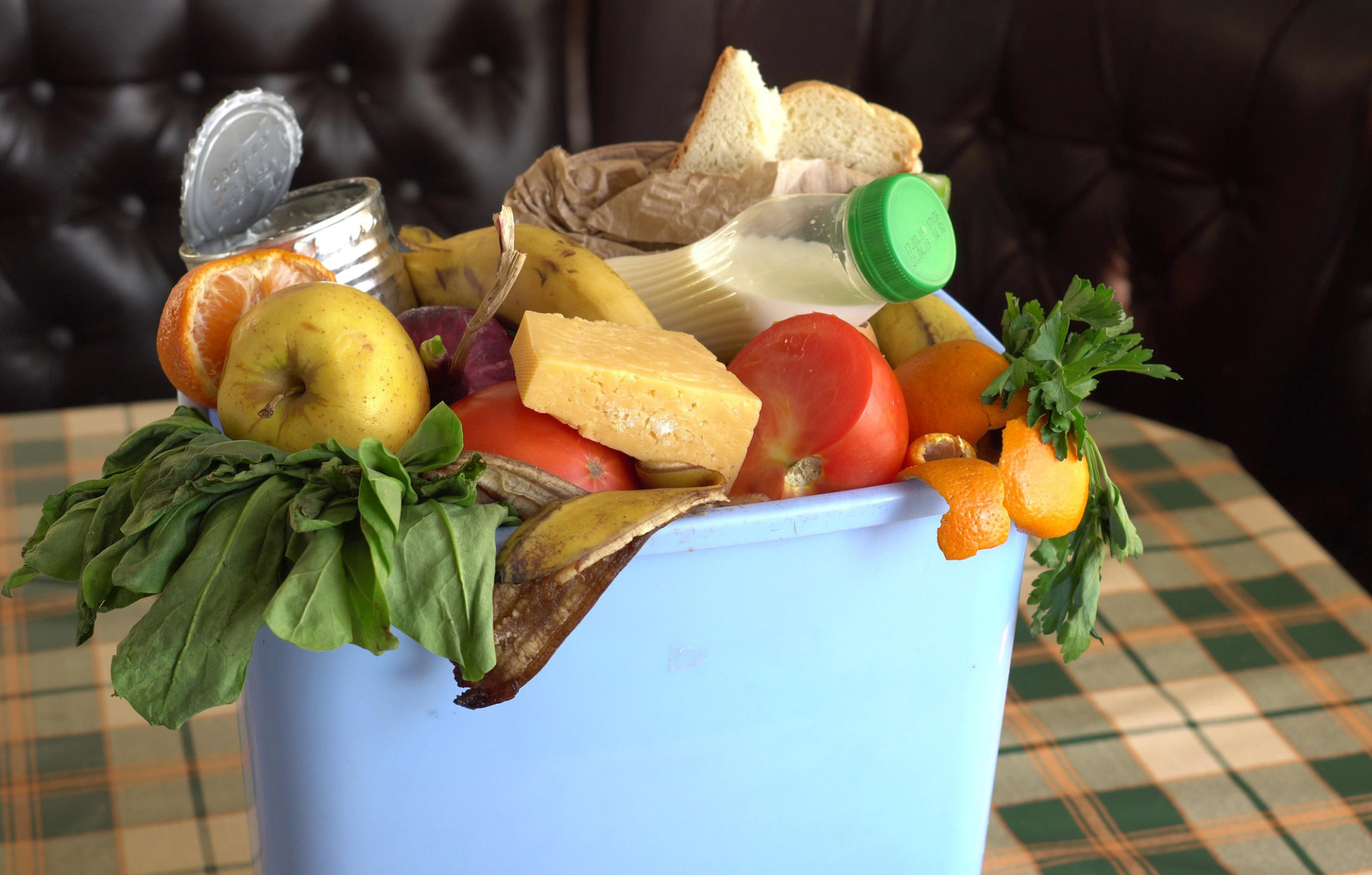 spazzatura spreco alimentare scadenza buttare nel bidone conservazione