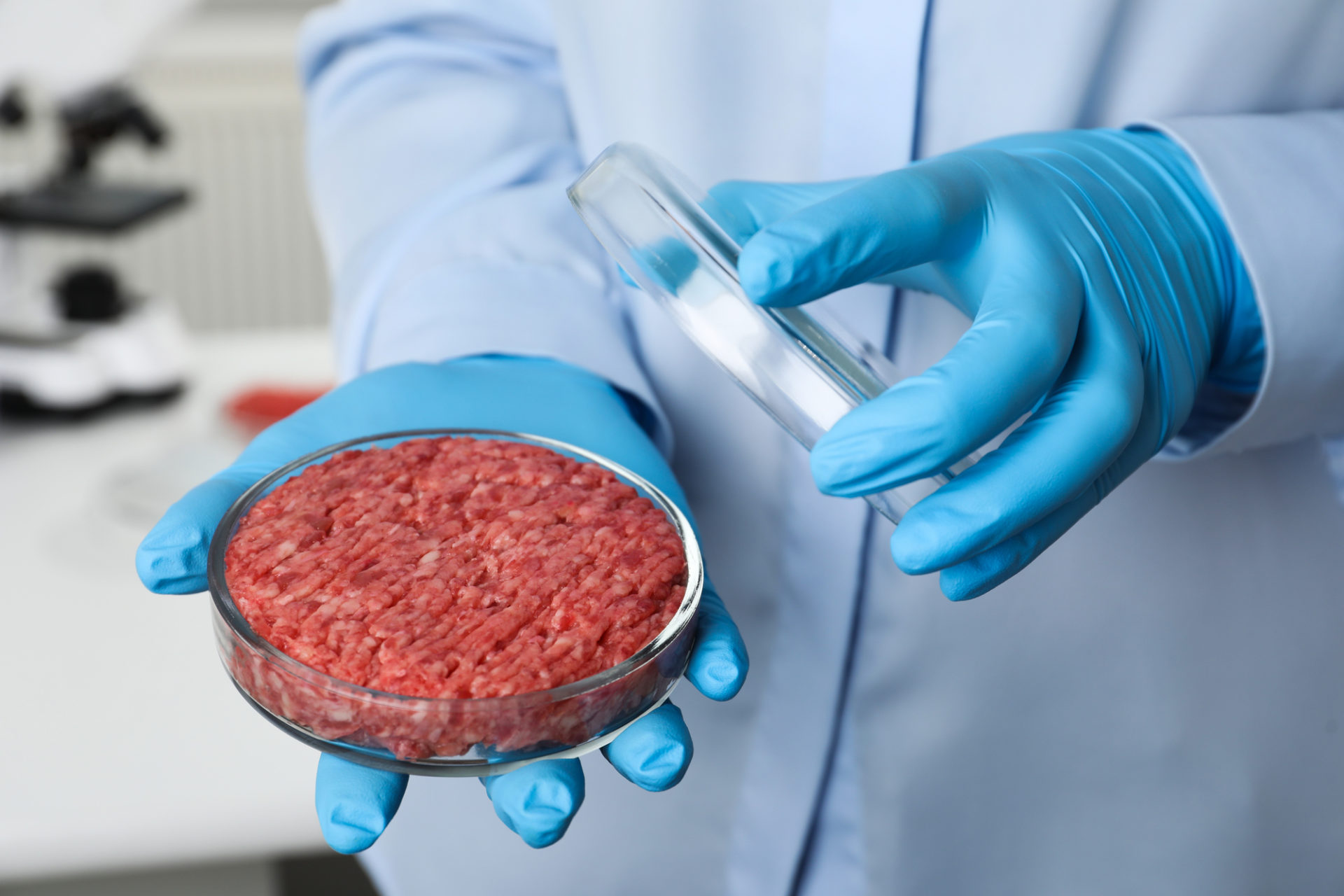 Scienziato in un laboratorio tiene in mano piastra petri con carne macinata; concept: carne coltivata, carne sintetica