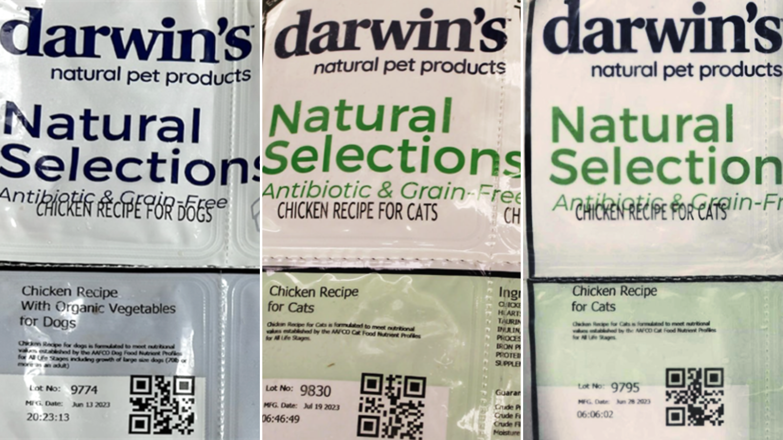 Darwin's Natural Pet Products allerta FDA