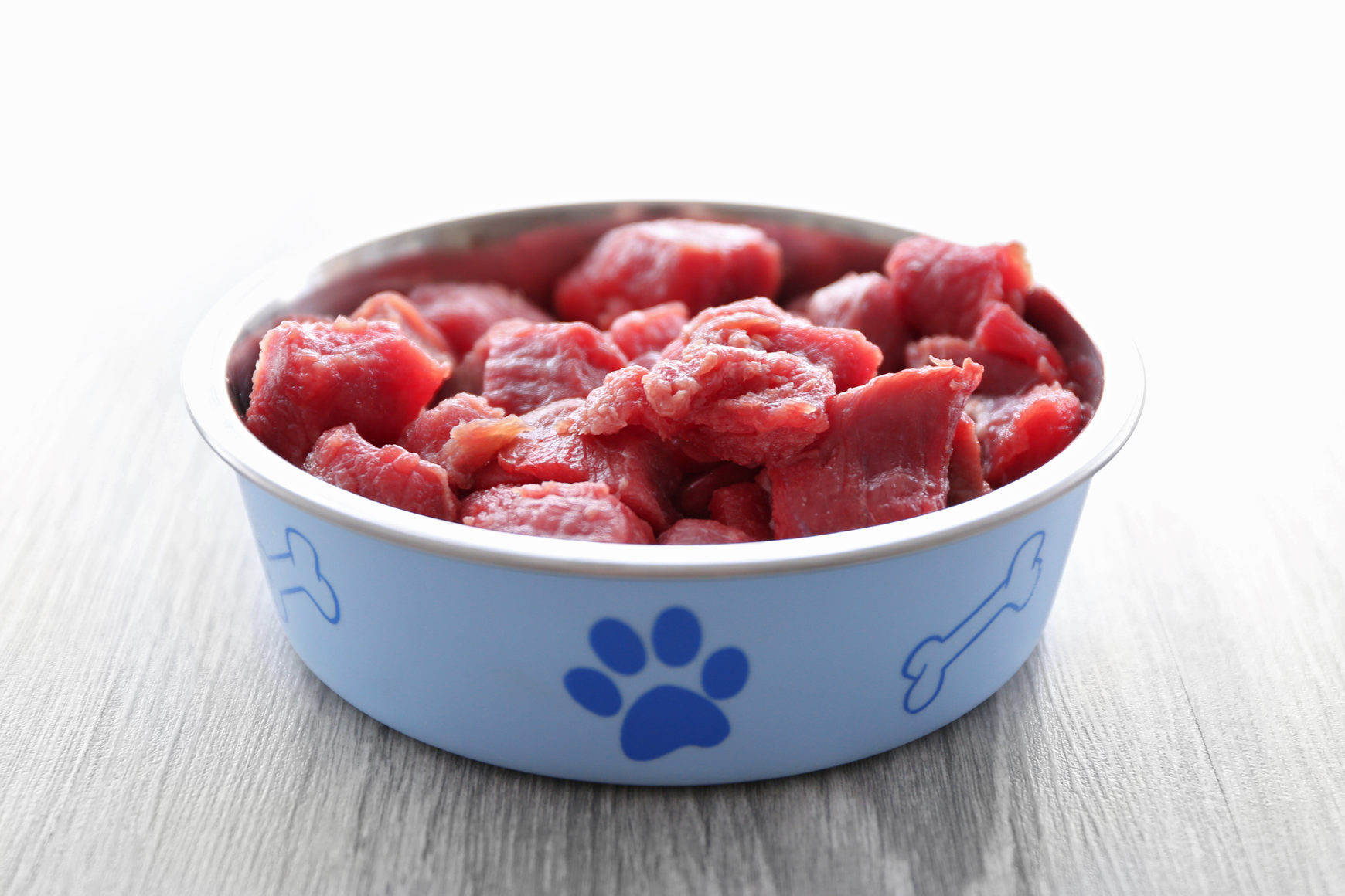 Ciotola per cani o gatti piena di carne curda; concept: pet food, dieta barf
