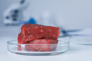 Due tagli di carne rossa su una piastra di petri sul bancone di un laboratorio; concept: carne coltivata