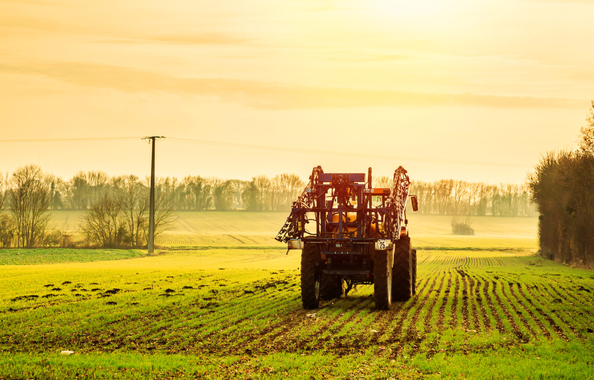 Trattore si prepara a spruzzare pesticidi su un campo; concept: agricoltura, glifosato