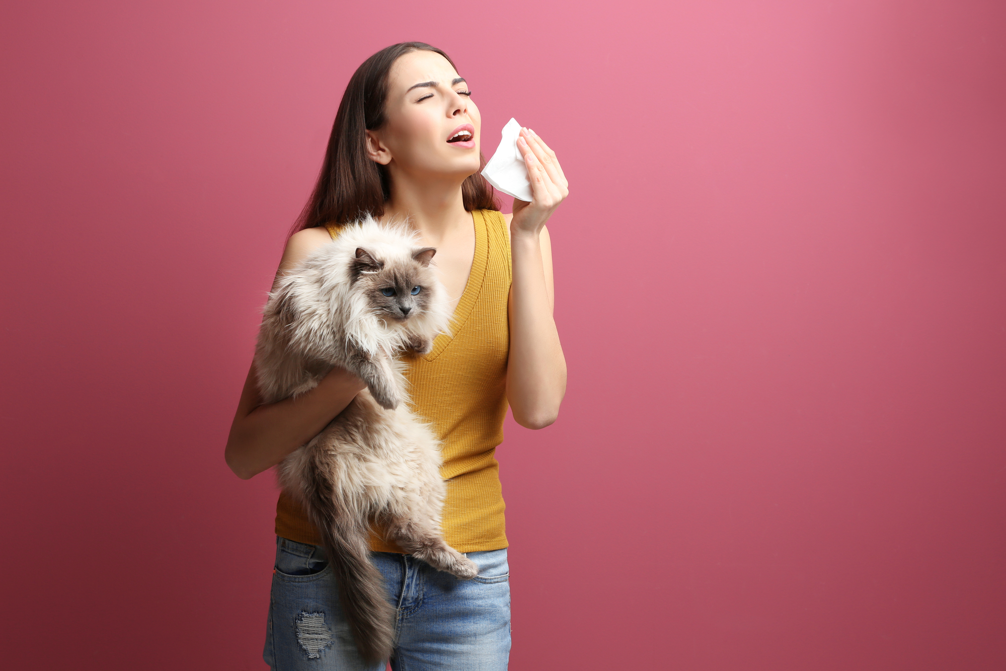 Concetto di allergia agli animali. Bella donna con gatto su sfondo a colori