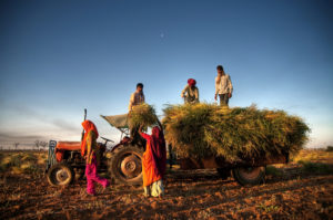 india contadini campi agricoltura sfruttamento lavoratori caporalato Depositphotos_63118539_L