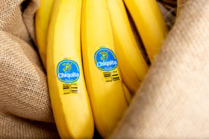 chiquita banane frutta Depositphotos_565845576_L
