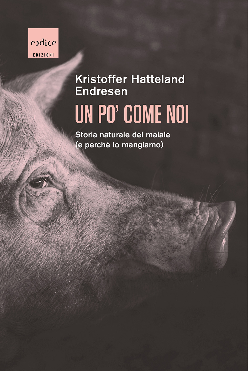 Copertina del libro "Un po' come noi. Storia naturale del maiale e perché lo mangiamo di Kristoffer Hatteland Endresen. Sfondo nero, profilo di maiale in primo piano