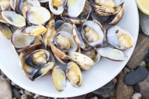 Piatto di vongole cotte; concept: molluschi, frutti di mare