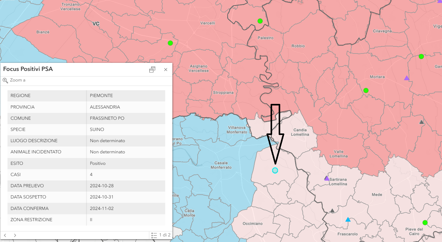 Peste suina Alessandria Frassino novembre 2024 