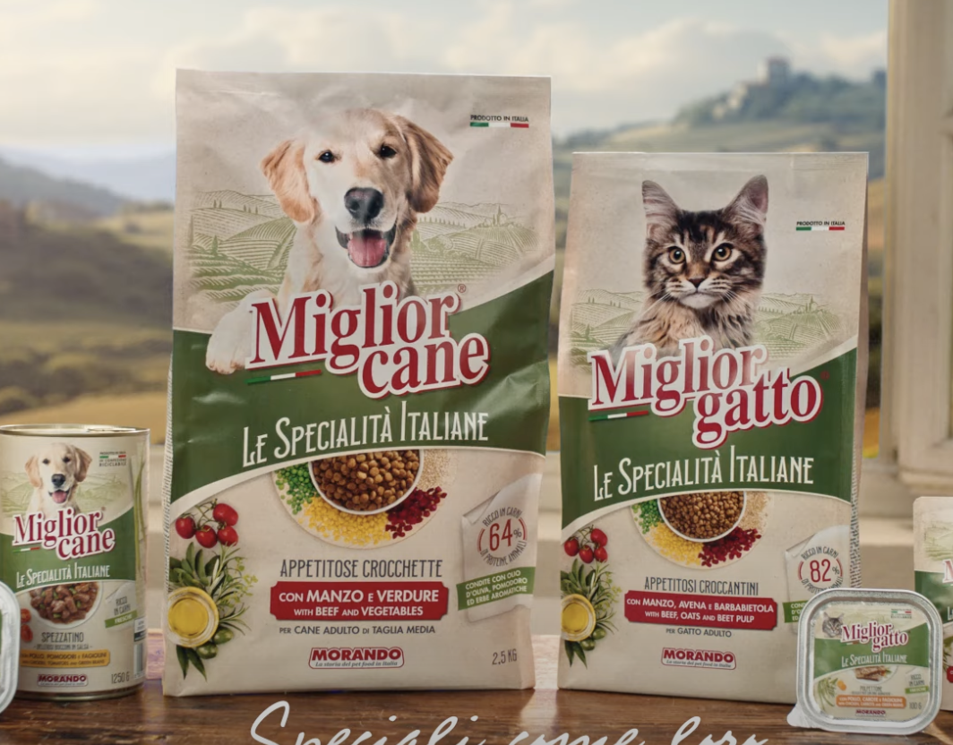 Morando cibo cani e gatti 