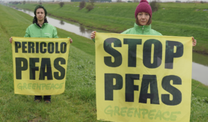 Greenpeace Pfas