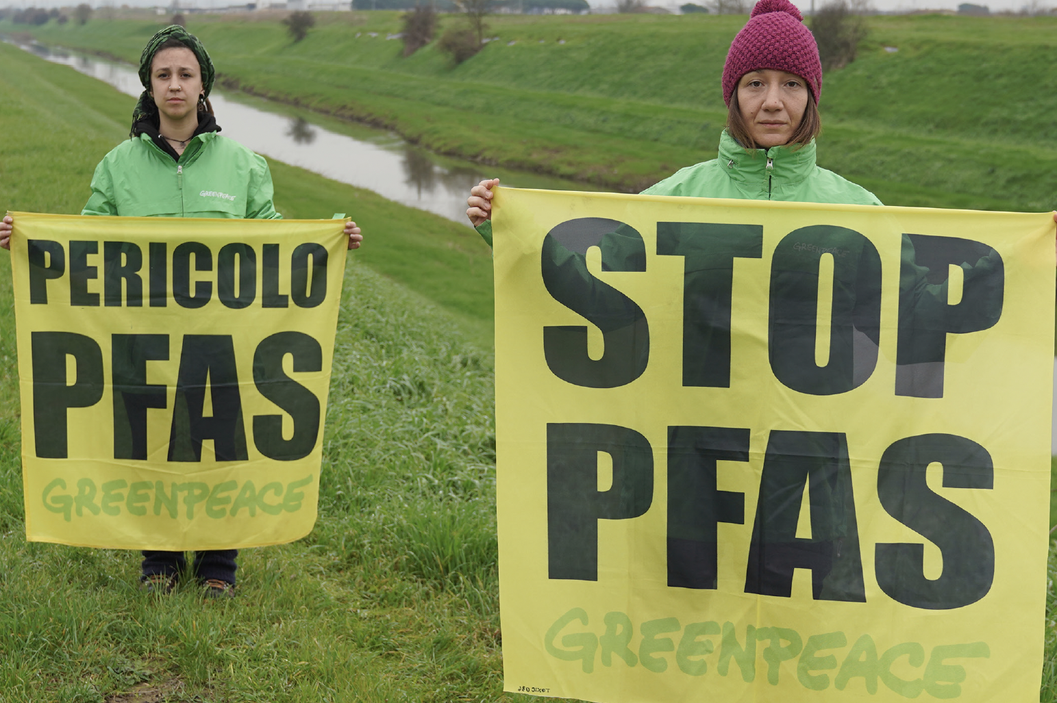 Greenpeace Pfas