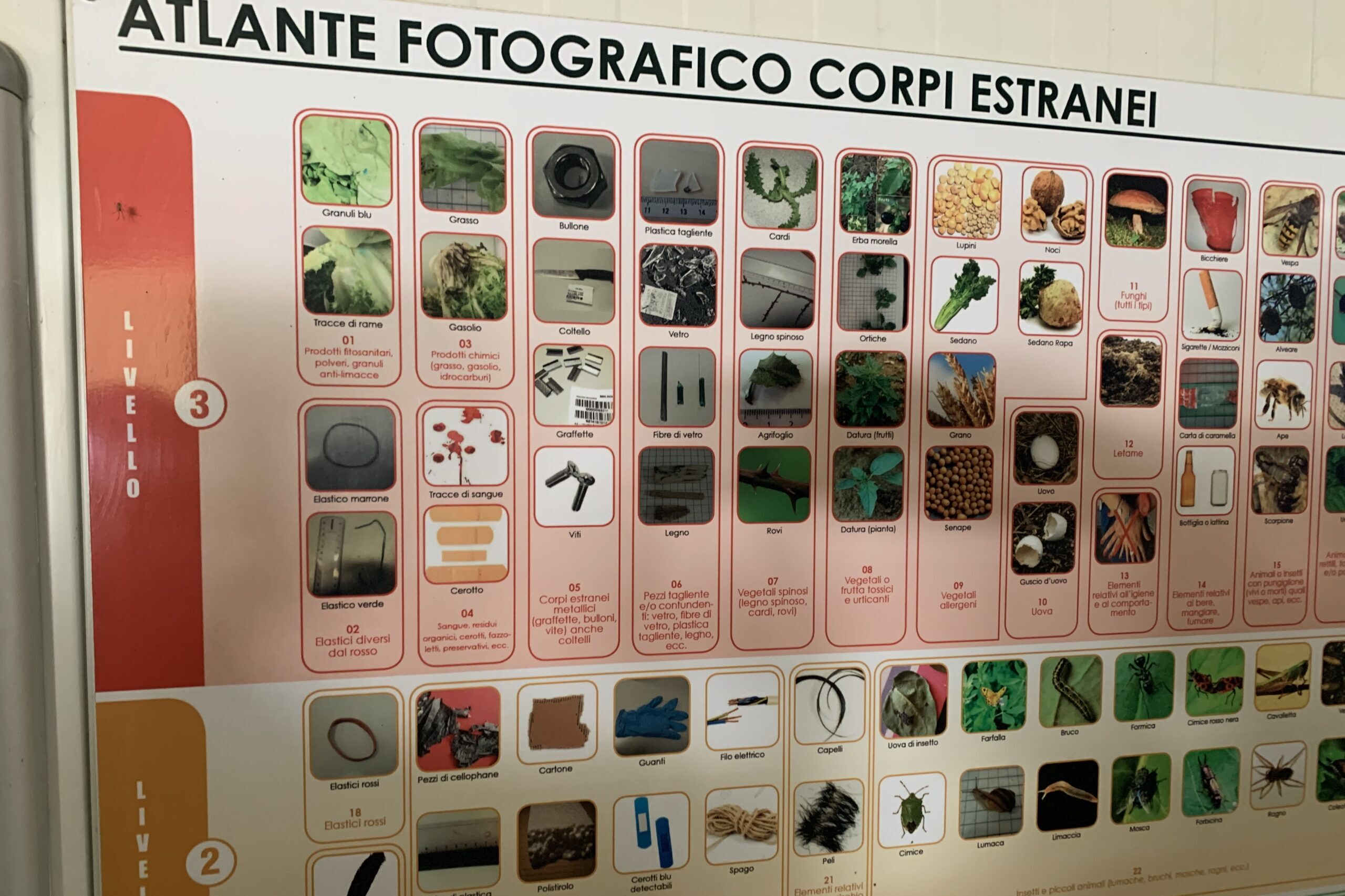 Atlante fotografico dei corpi estranei