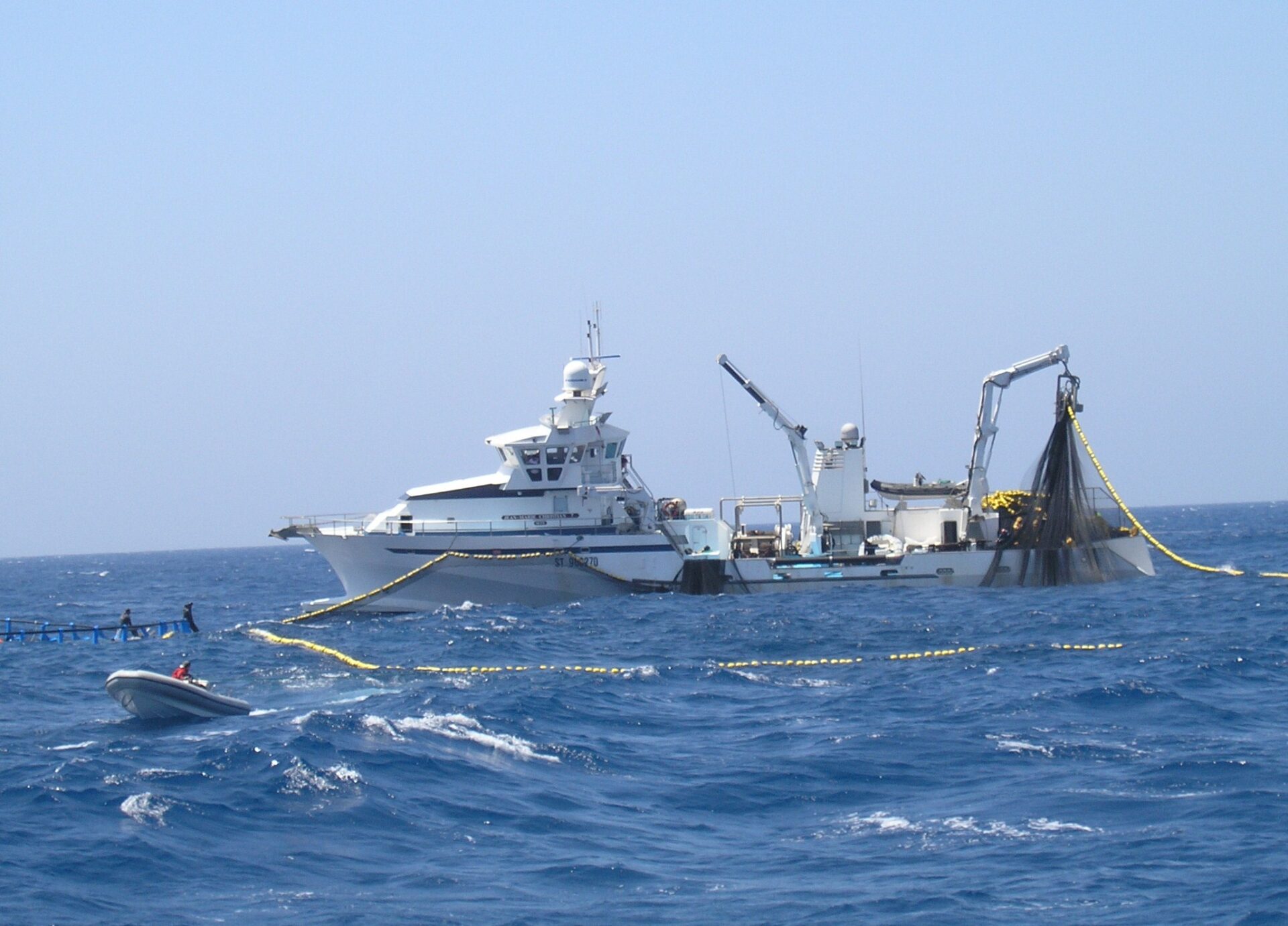 Tonno trasferimento pesce dalla rete alla gabbia issando la rete