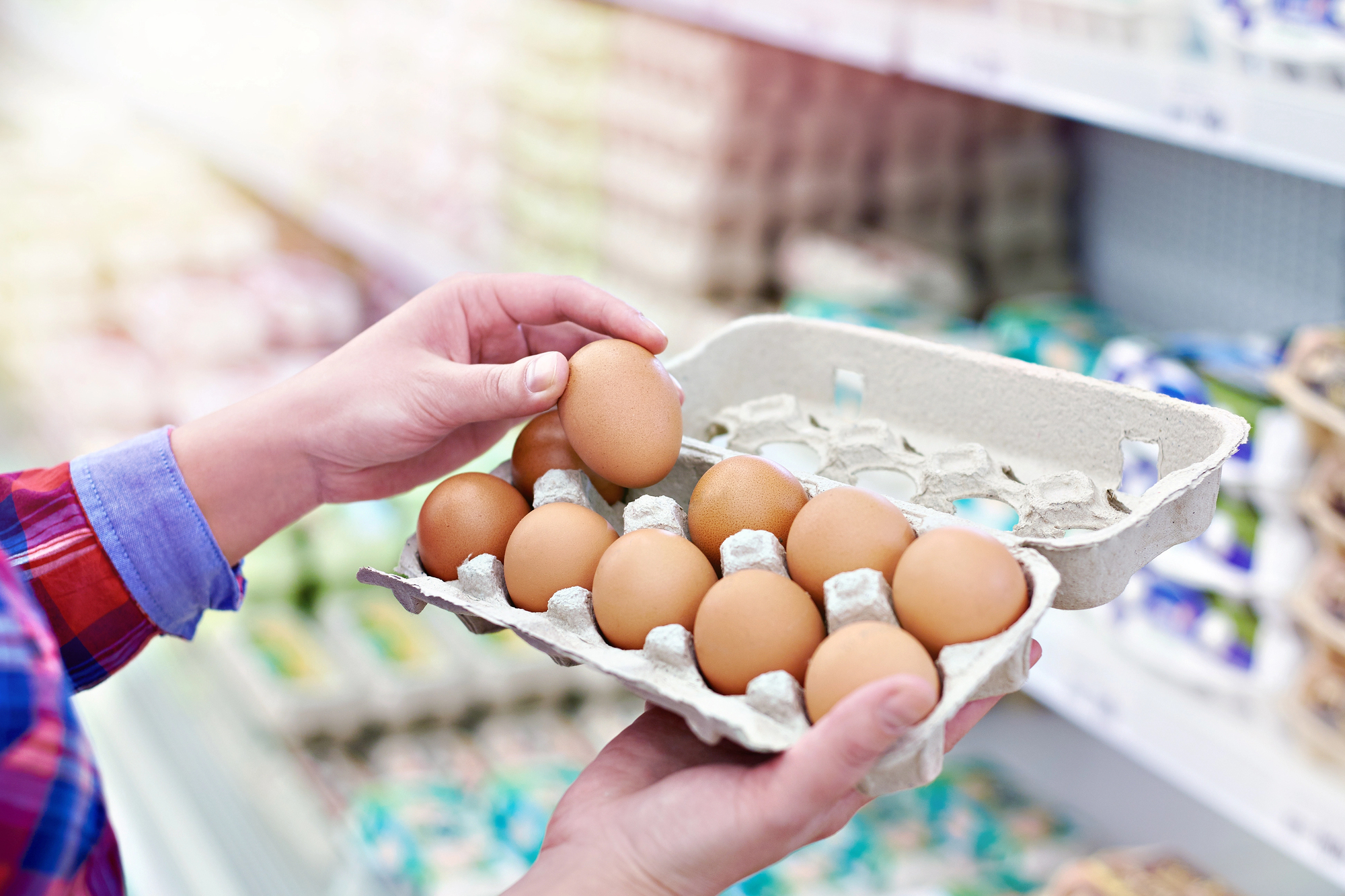 Una persona prende un uovo da un cartone da 12 uova nelle corsie di un supermercato