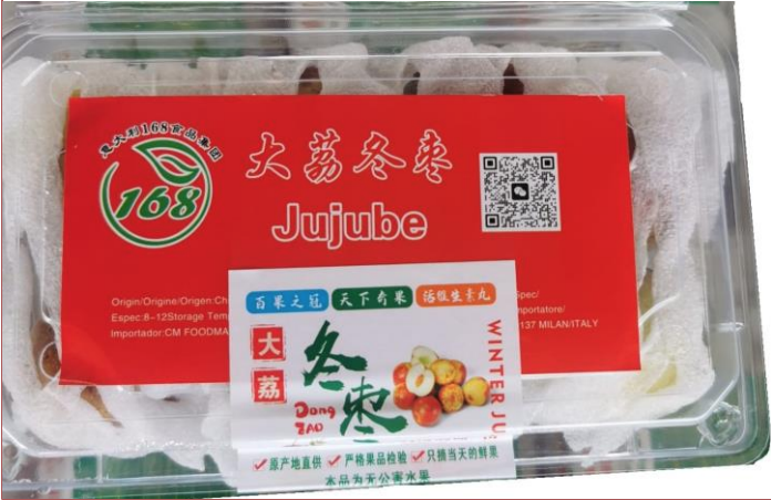 Giuggiole richiamo 14.10.2025