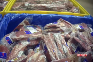 Vasche di carne in scongelamento nello stabilimento Bervini - Report 23.11.2025
