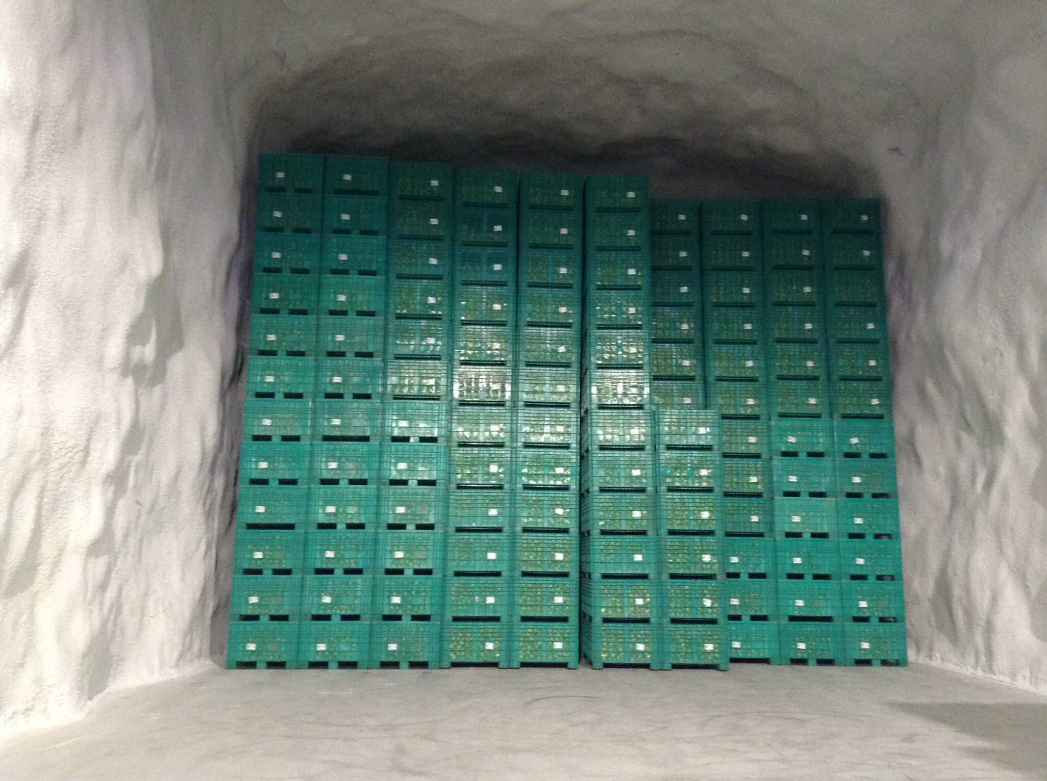 Melinda celle ipogee