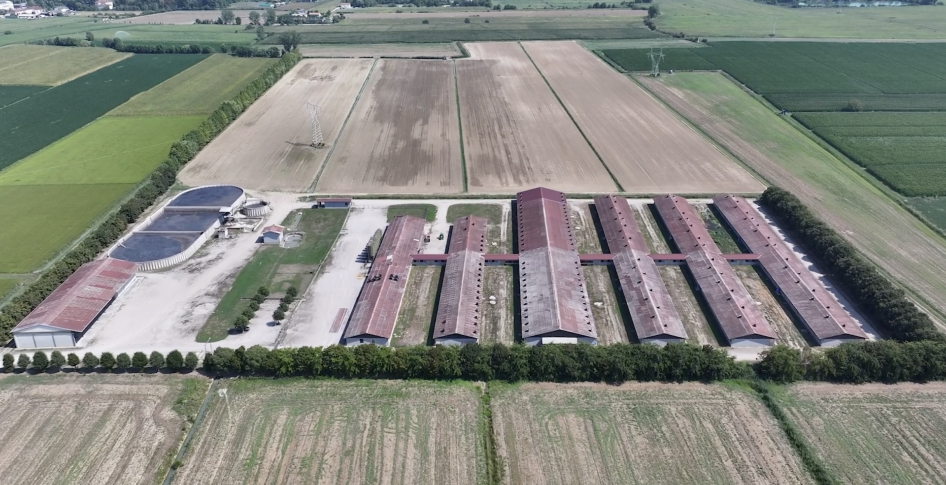 llevamento La Pellegrina - gruppo AIA-Veronesi – Greenpeace