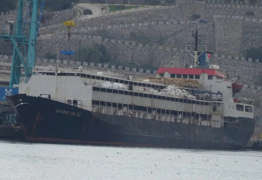 Spiridon II nel porto di Bandirma, Turchia, 09.11.2025 Foto: Animal Welfare Foundation / Animal Save Türkiye