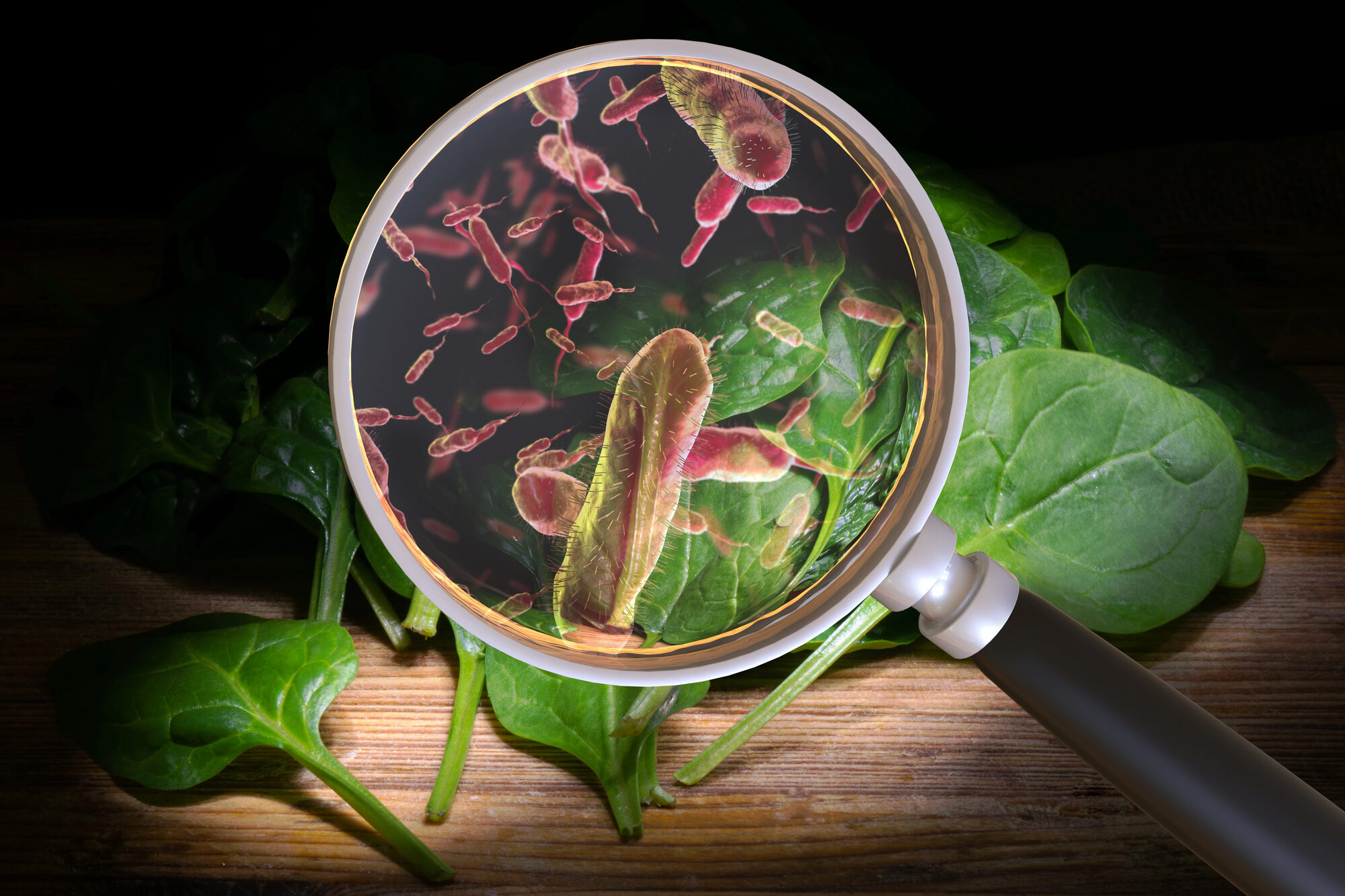 Mal di pancia intossicazione alimentare