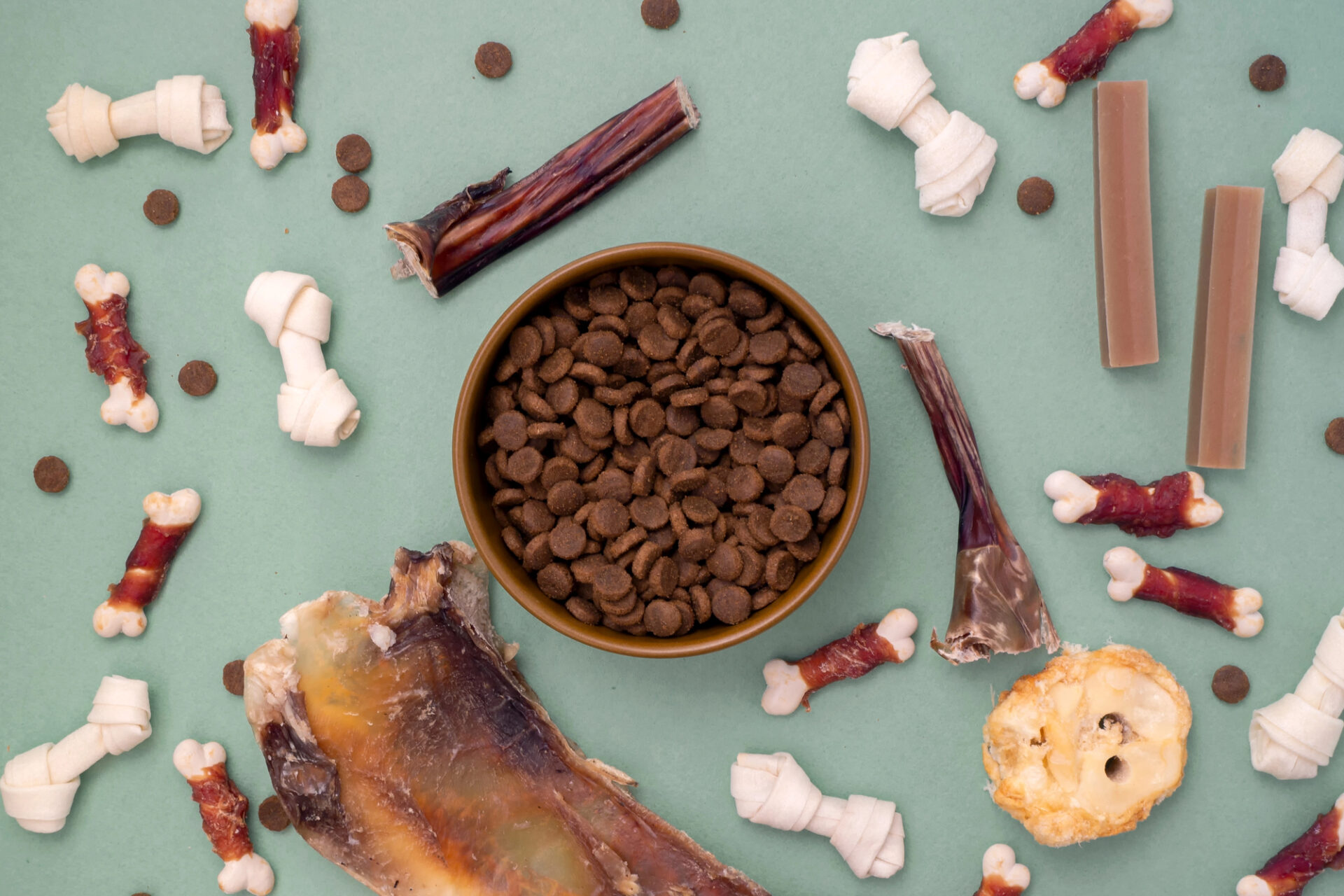 Snack per cani assortiti attorno una ciotola di crocchette o croccantini