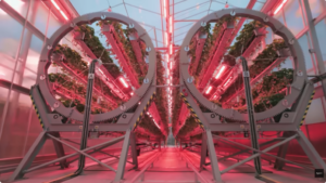 Dyson Farming serra ibrida