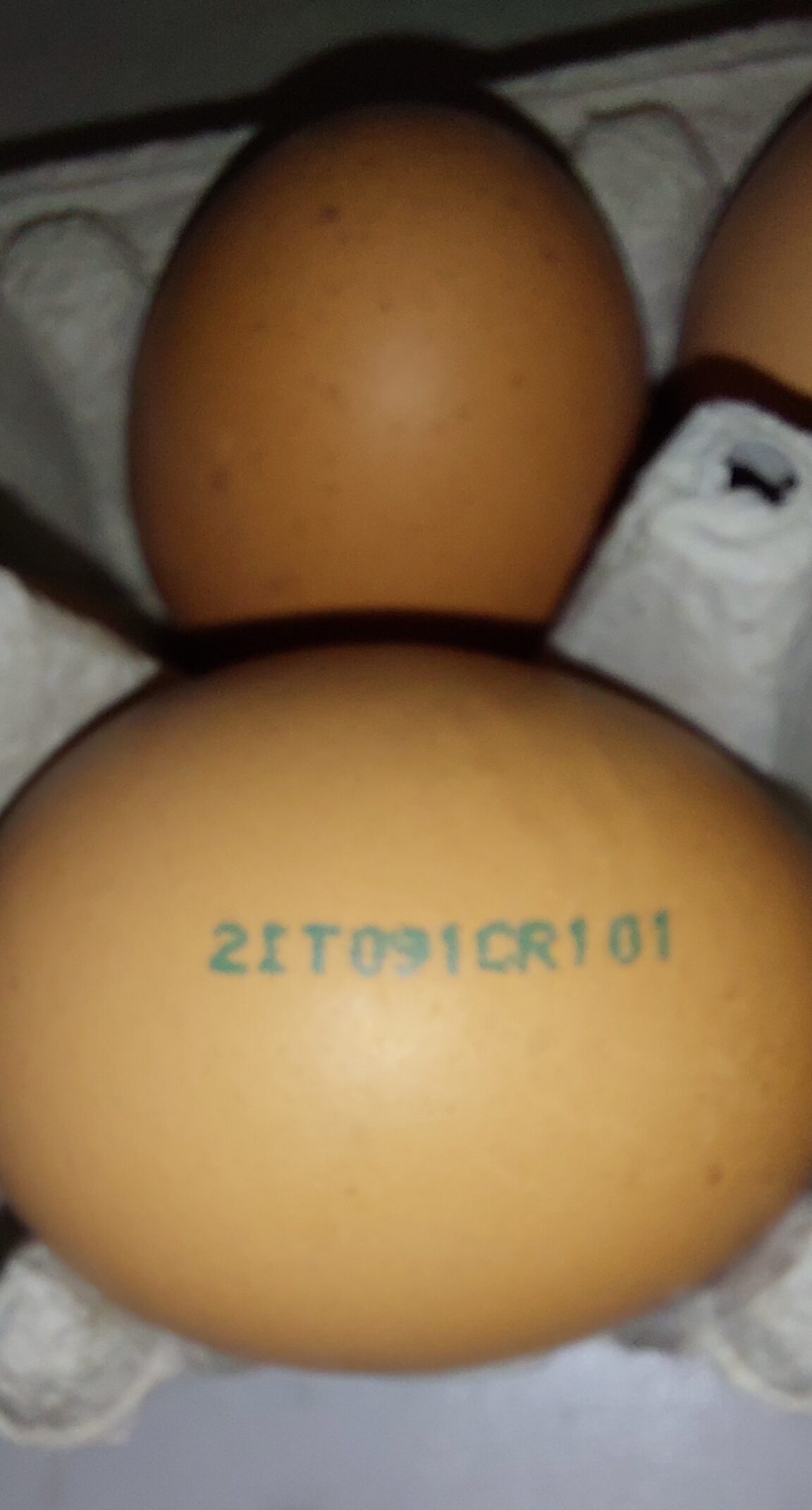 Uova lettera 28.01.2026