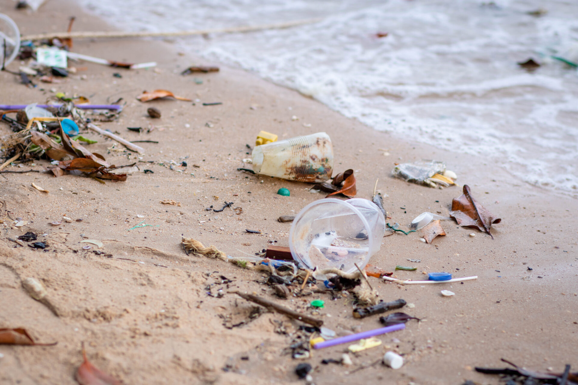 Rifiuti sulla spiaggia. Inquinamento della spiaggia. Bottiglie di plastica e altri rifiuti sulla spiaggia. Spiaggia sabbiosa e sporca sul Mar Nero. oceano sostenibilita