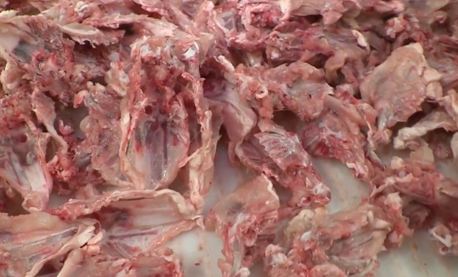 Carne separata meccanicamente foto ripresa da filmato francese