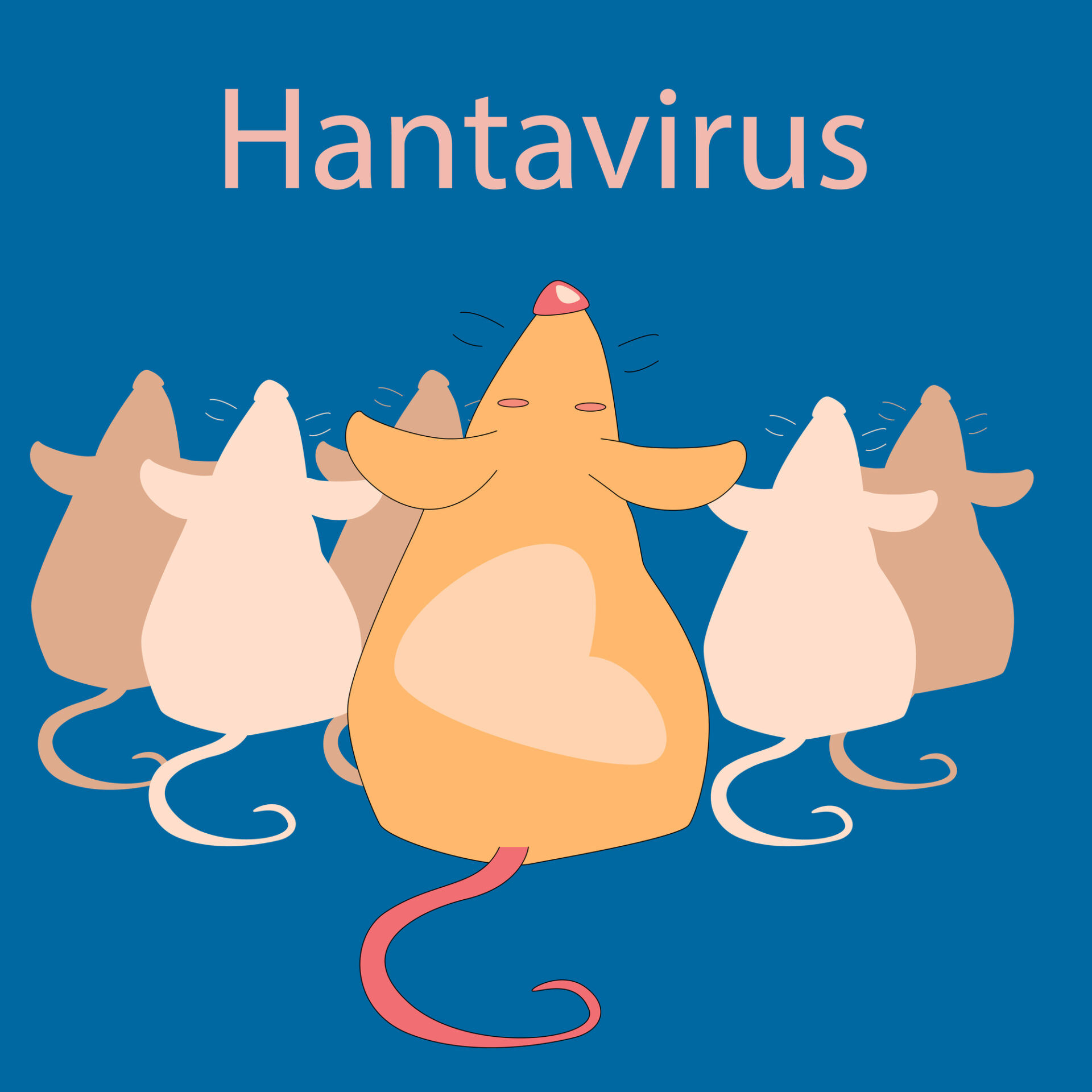 HANTAVIRUS 