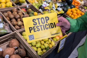 Greenpeace dimostrazione pesticidi