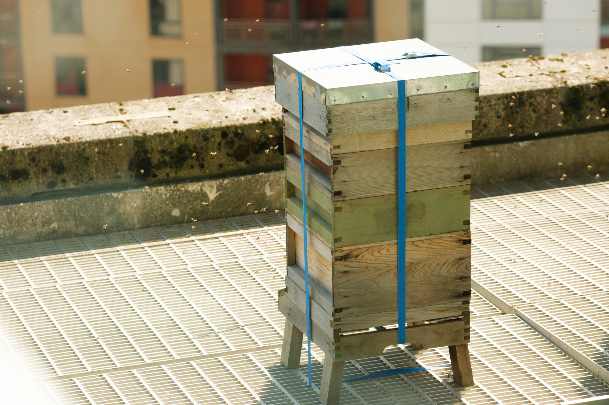Alveare urbano sul tetto di una casa o condominio; concept: api