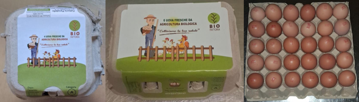 Uova fresche biologiche Bio Fattoria richiamo 05.06.2026