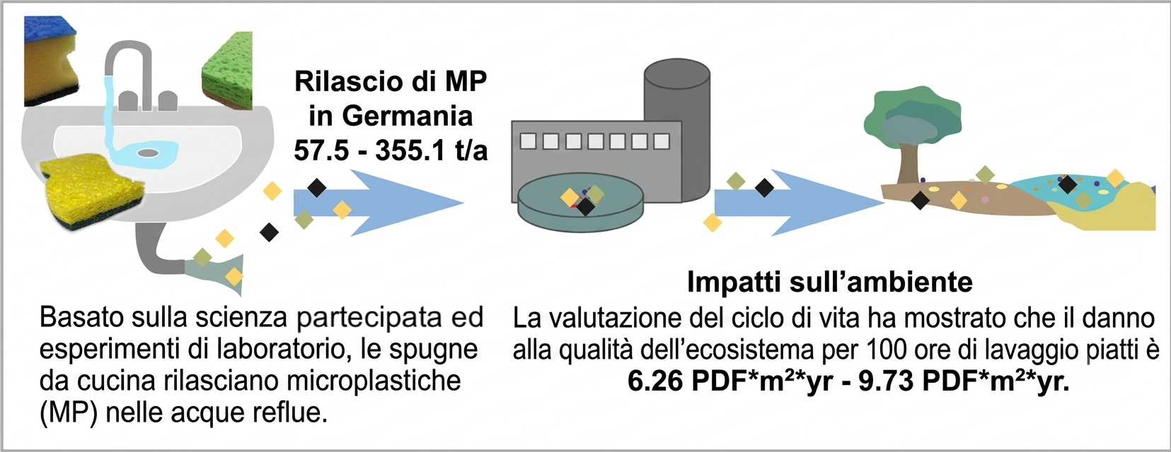 studio microplastiche inquinamento mari e fiumi spugne piatti spugnette Environmental Advances