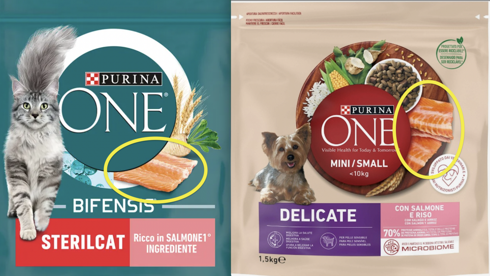 PET FOOD PURINA SALMONE 