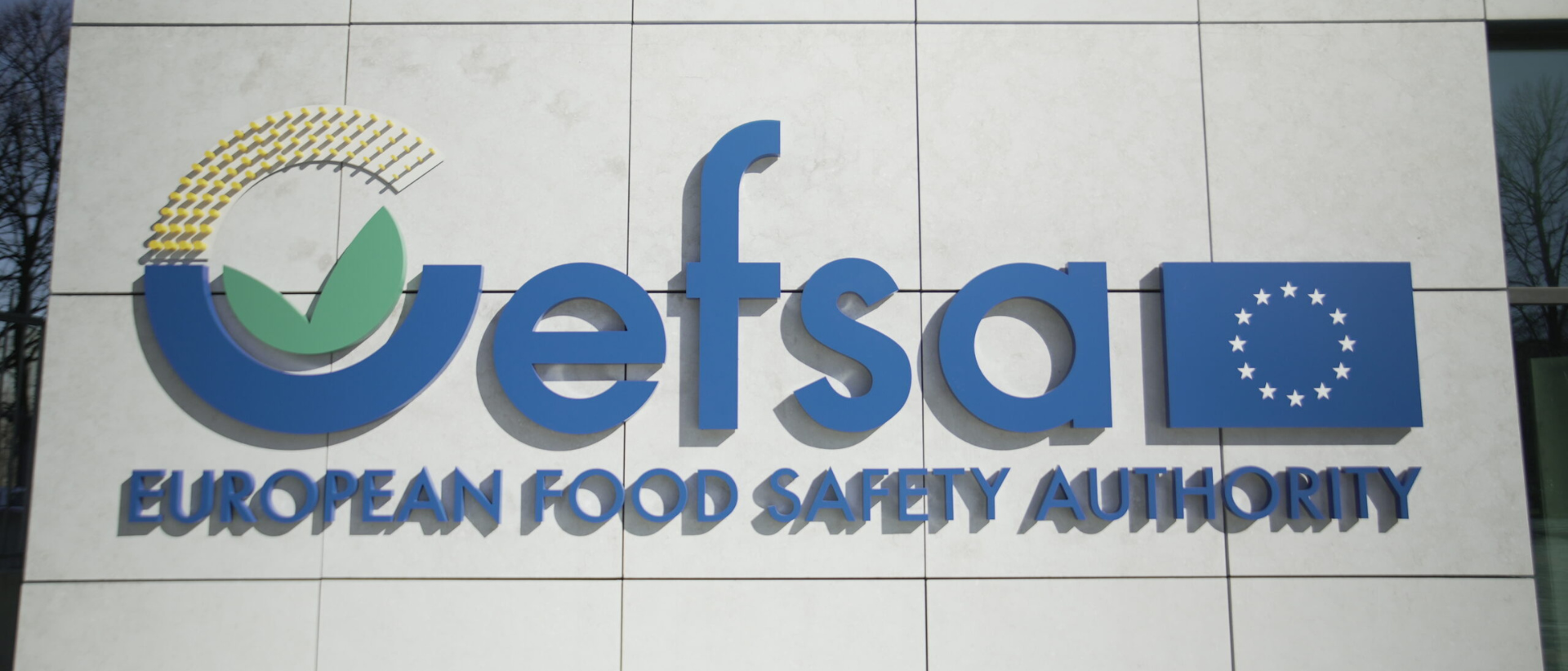 EFSA logo