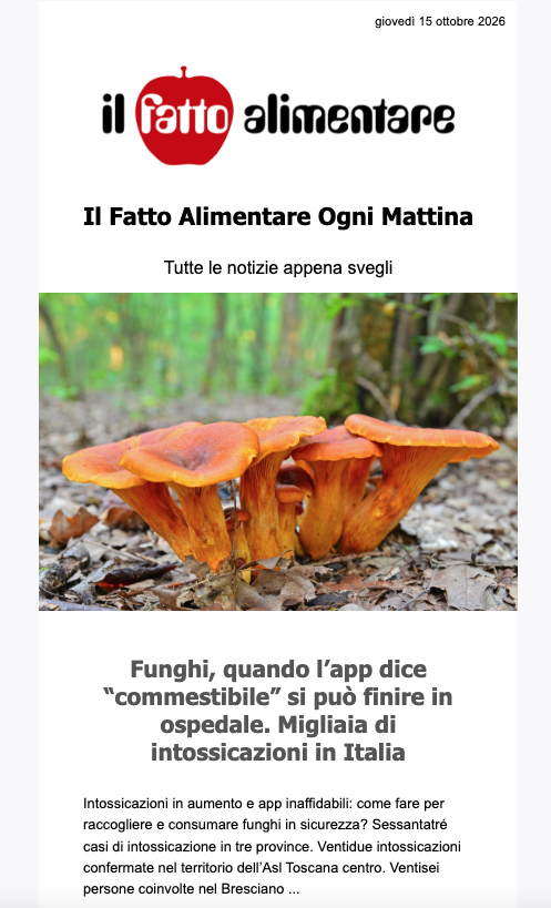 Il Fatto Alimentare Ogni Mattina