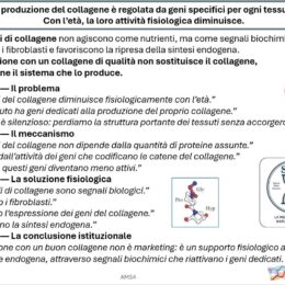 collagene 2026 ottobre.JPG