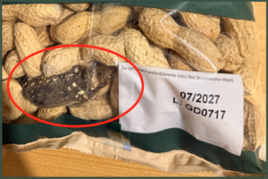lidl corpo estraneo ratto roditore arachidi 2026 alesto